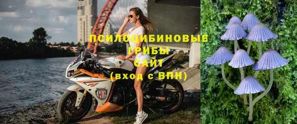 гидропоника Алзамай