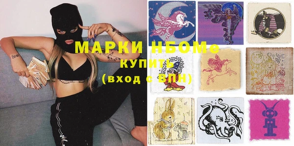 шишки Арсеньев