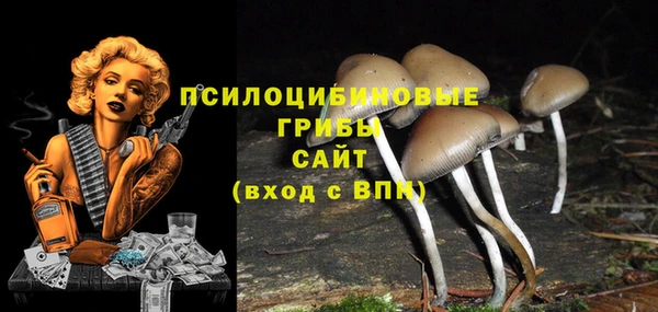Альфа ПВП Армянск