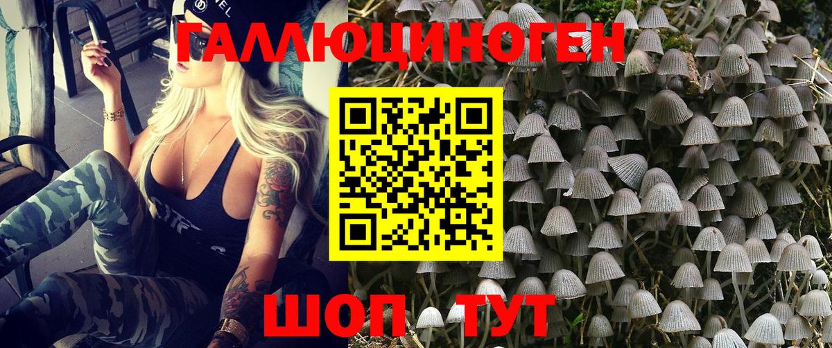 Галлюциногенные грибы MAGIC MUSHROOMS  Псилоцибиновые грибы MAGIC MUSHROOMS  Вход с VPN  Сыктывкар 