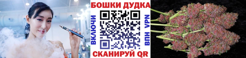 Бошки Шишки план Сыктывкар